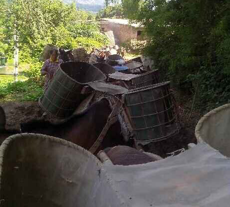 坪山区骡马运输队