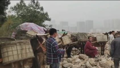 坪山区骡马山区运输