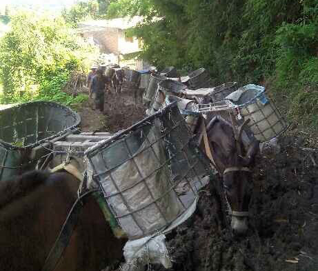 坪山区马帮搬运