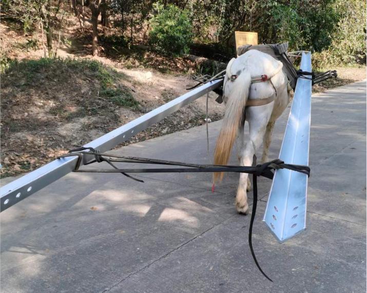 坪山区马队搬运