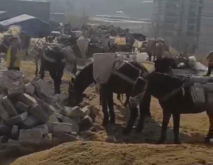 坪山区马队山路运输