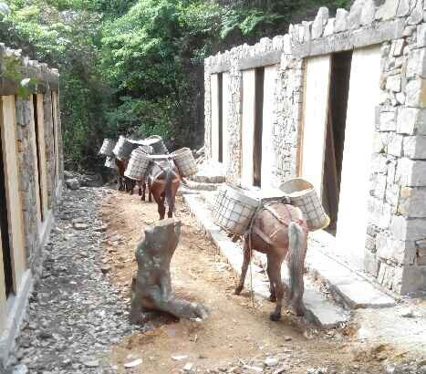 坪山区马队运输队