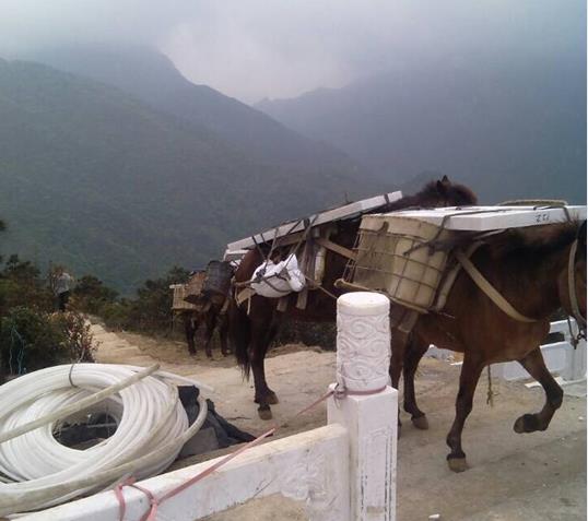 坪山区山区马帮运输